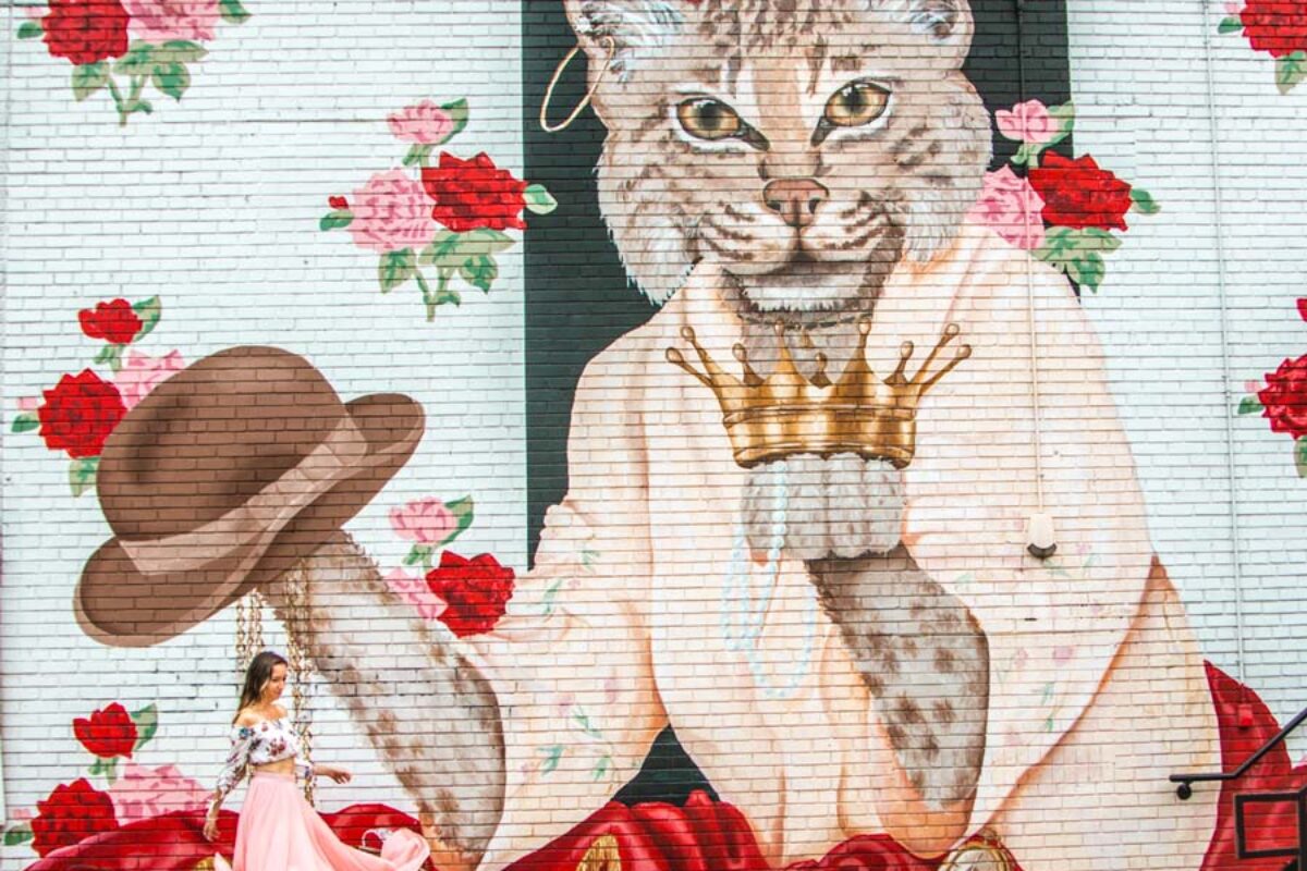 Photo-Worthy Murals in Raleigh, NC You Shouldn’t Miss