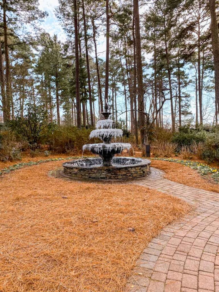 WRAL Garden Raleigh.