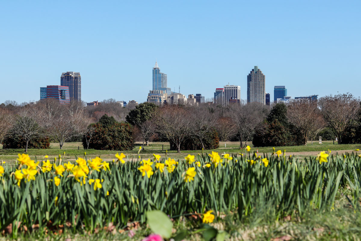 30 Pros and Cons of Living in Raleigh, NC (Plus Moving Tips)