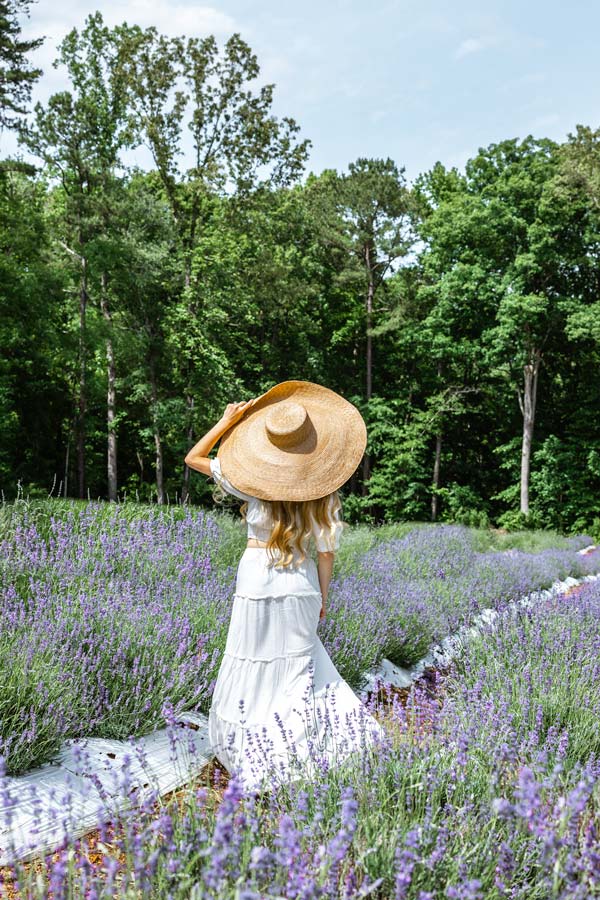 Woman wearing white with big sun hat in lavender fields.