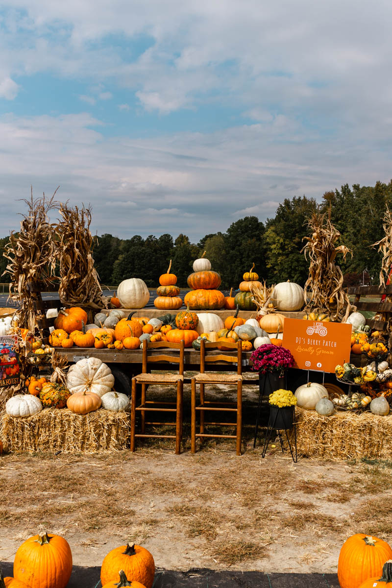 Phillips Farm pumpkin stand.