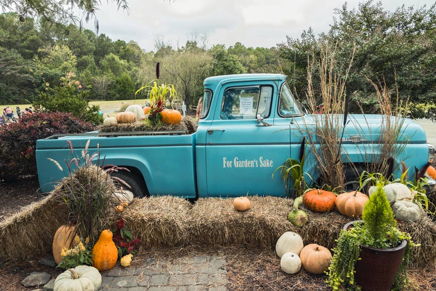 For Garden Sake blue truck pumpkin display. 
